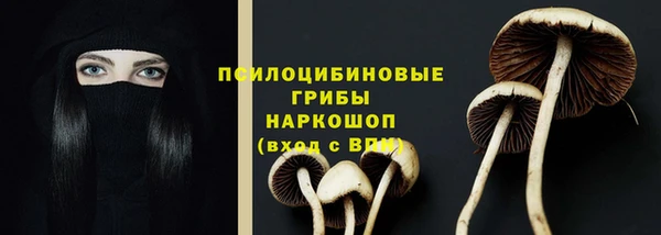 apvp Абдулино