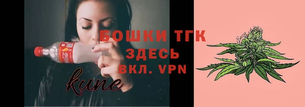 тгк Абаза