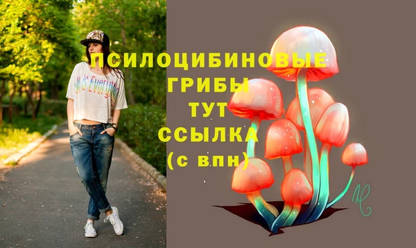 apvp Абдулино