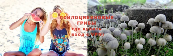 а пвп мука Абинск