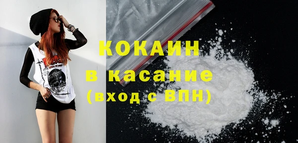 тгк Абаза