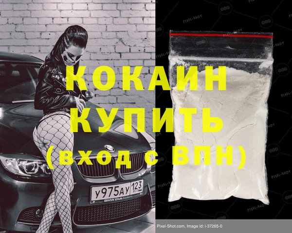 индика Чита