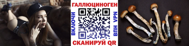 дарнет шоп  Адыгейск  Псилоцибиновые грибы мухоморы 